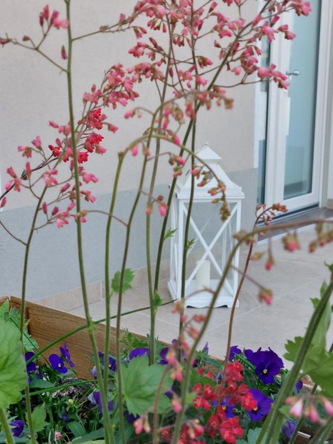 ホテル Casa Autunno モンツァンバーノ エクステリア 写真