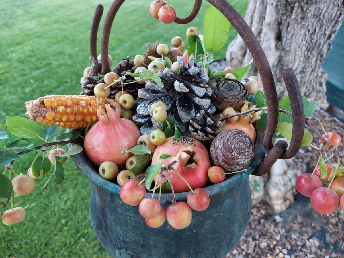 ホテル Casa Autunno モンツァンバーノ エクステリア 写真