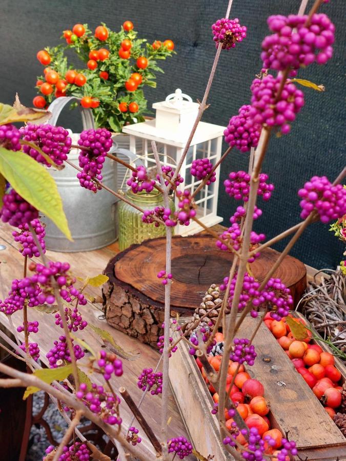 ホテル Casa Autunno モンツァンバーノ エクステリア 写真